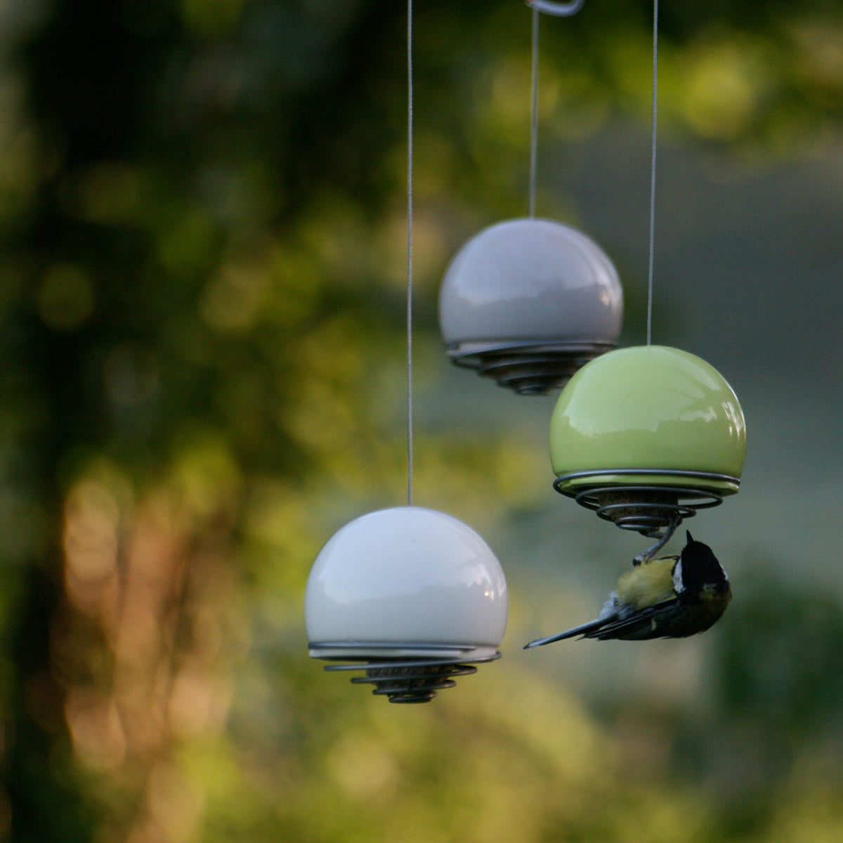 Birdball Fatball Bird Feeder - Lime