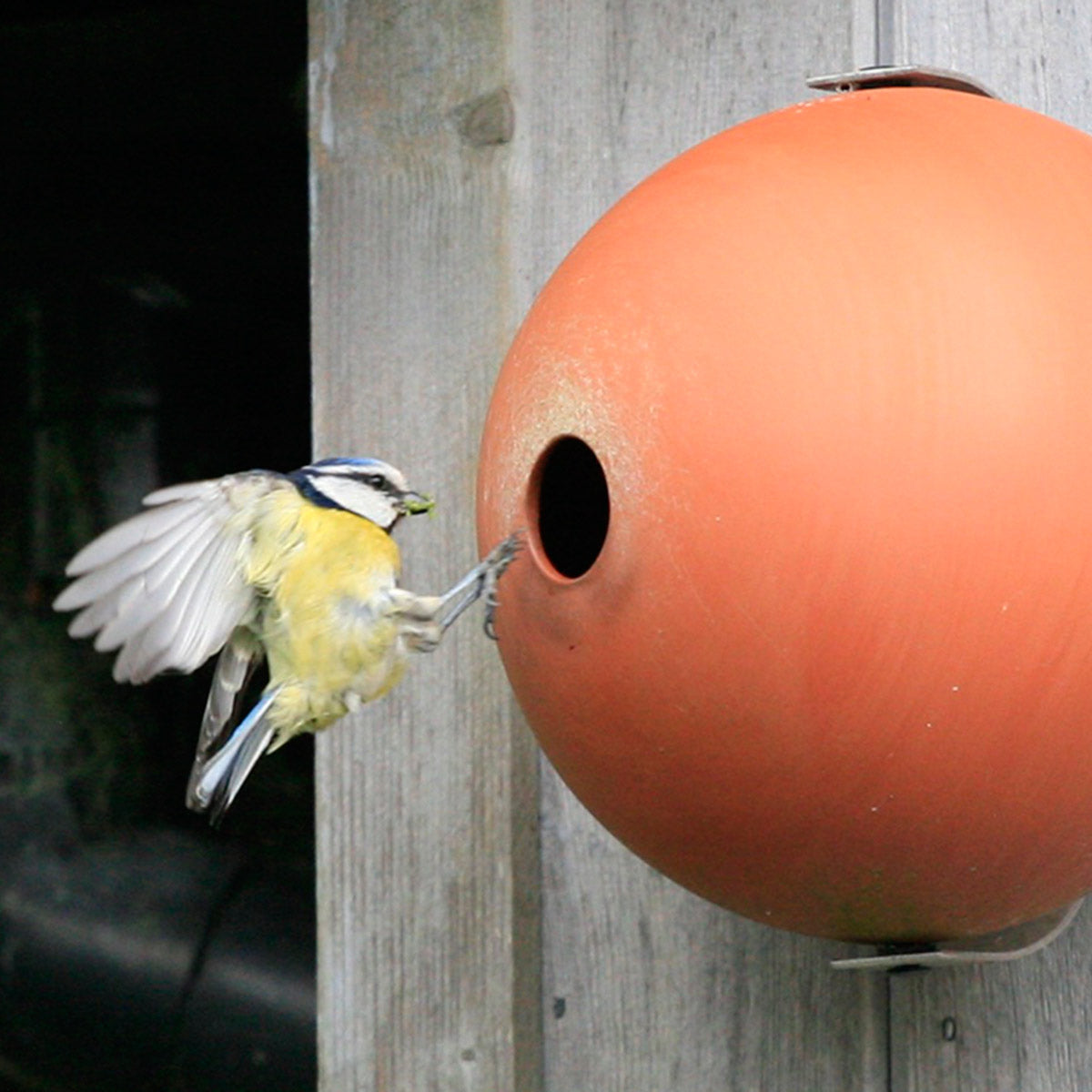 Birdball Birdhouse - Terracotta