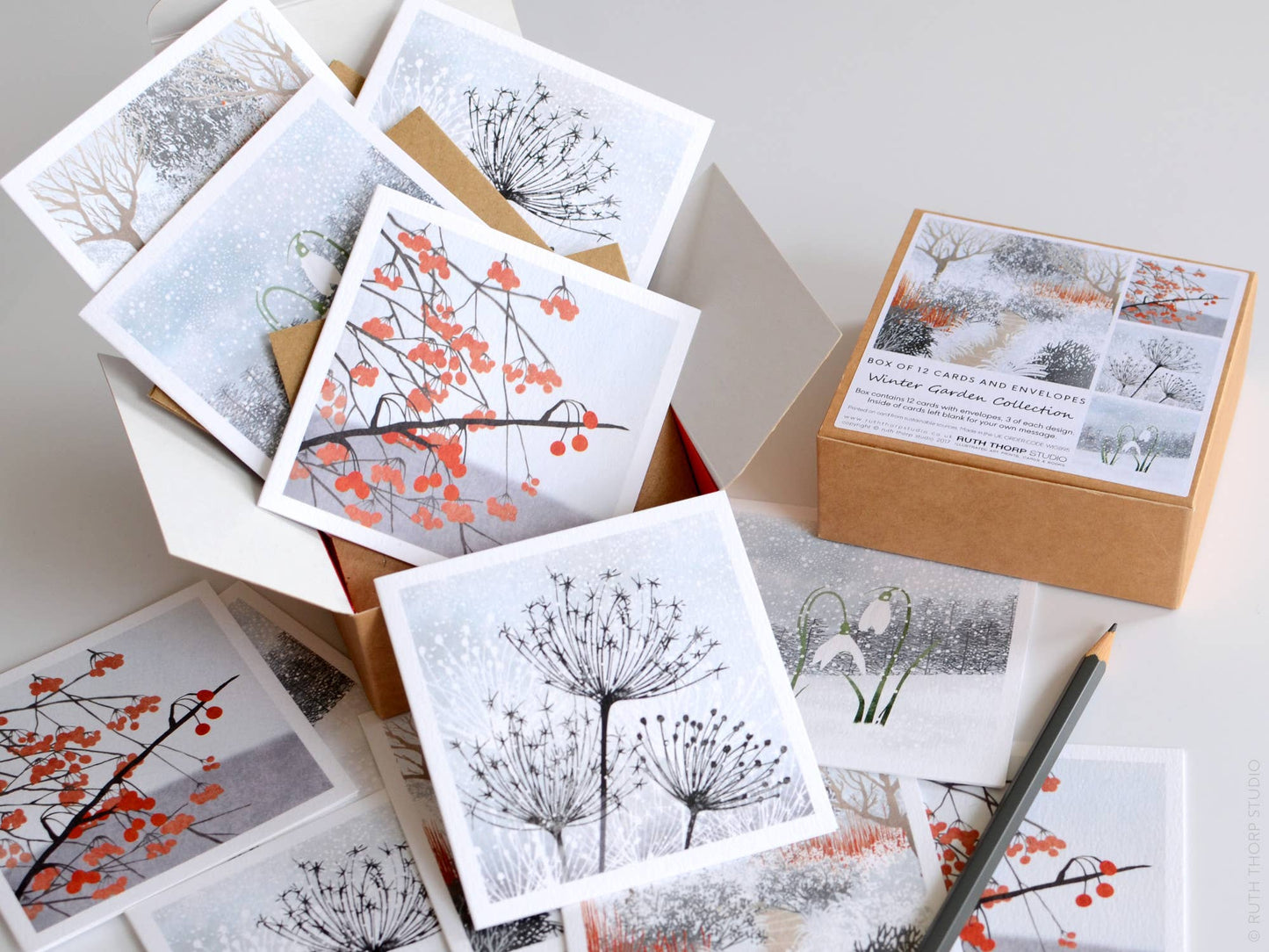 Box of 12 Small Notecards: Winter Garden Collection