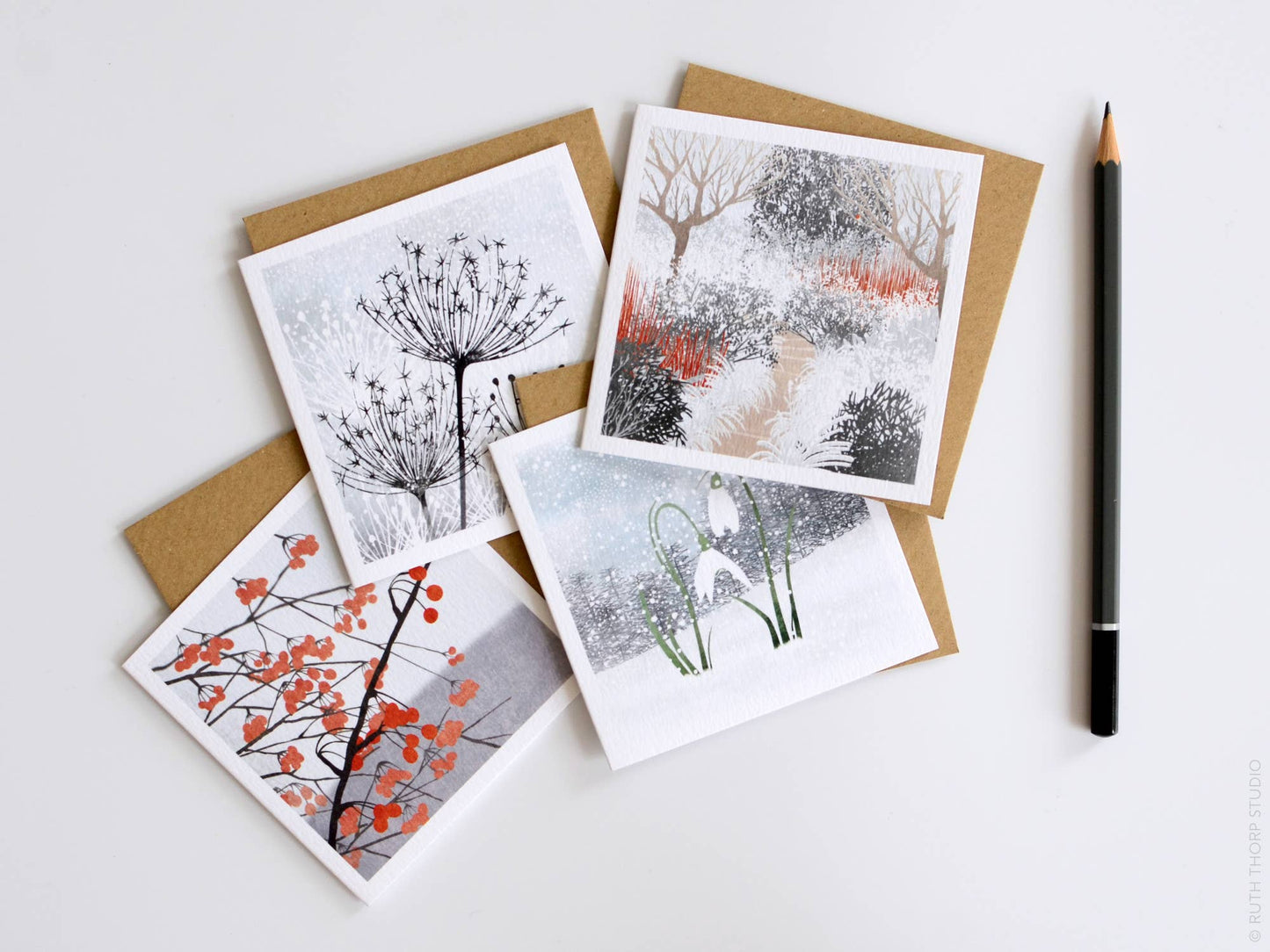 Box of 12 Small Notecards: Winter Garden Collection