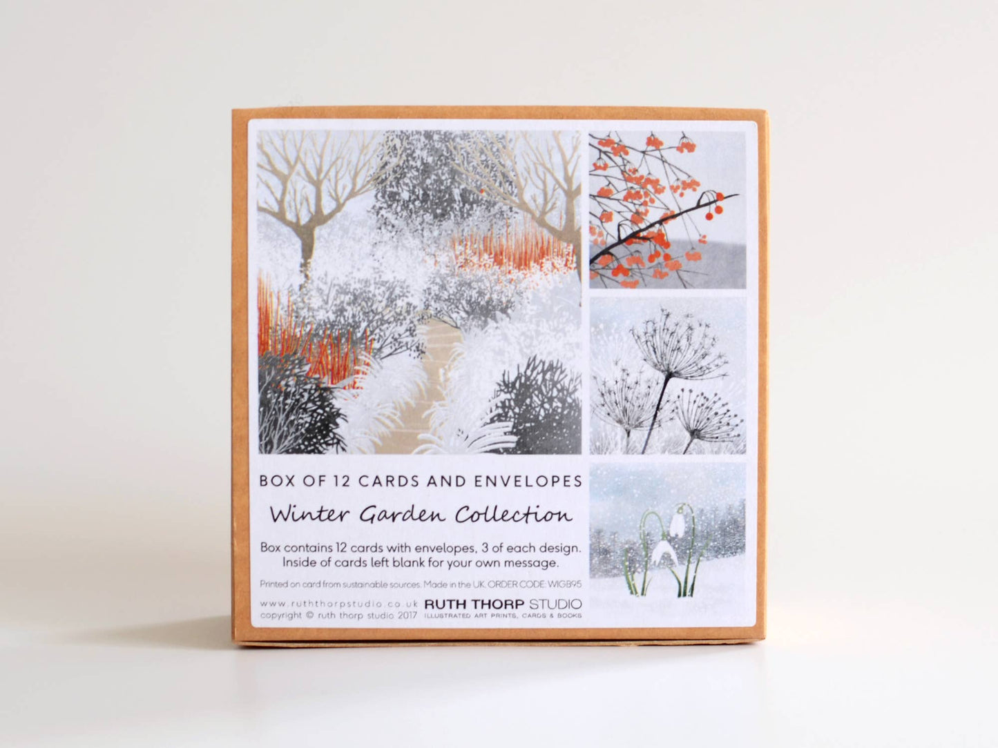 Box of 12 Small Notecards: Winter Garden Collection