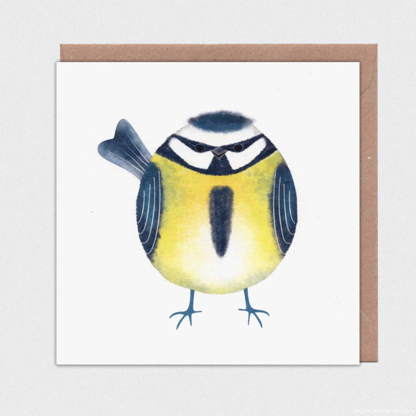 Blue Tit Individual Card: Garden Birds Collection