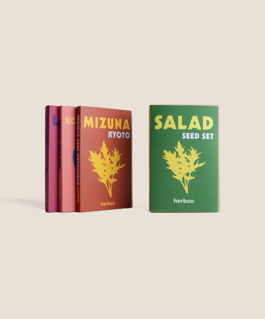 Salad Seed Set