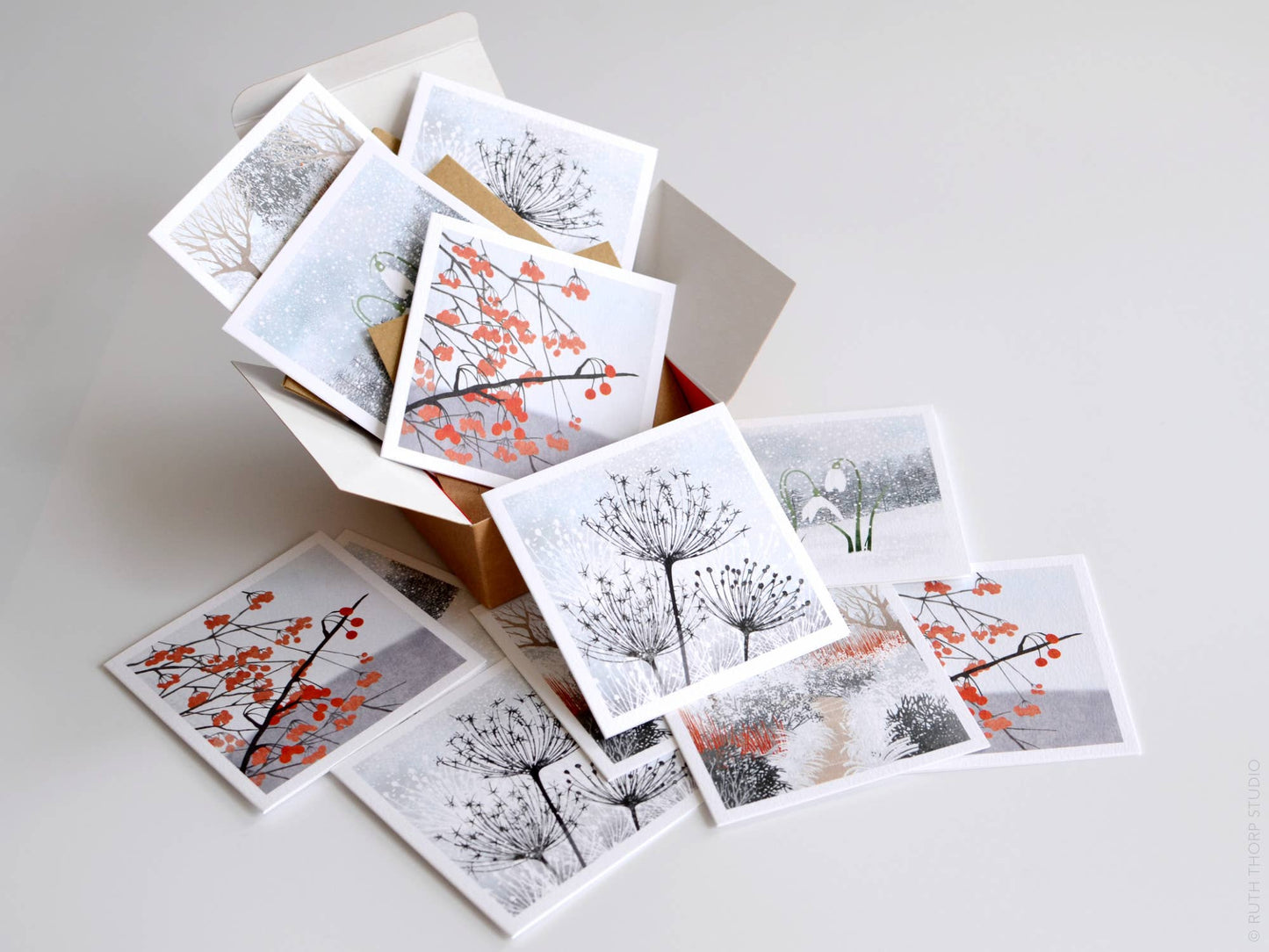 Box of 12 Small Notecards: Winter Garden Collection