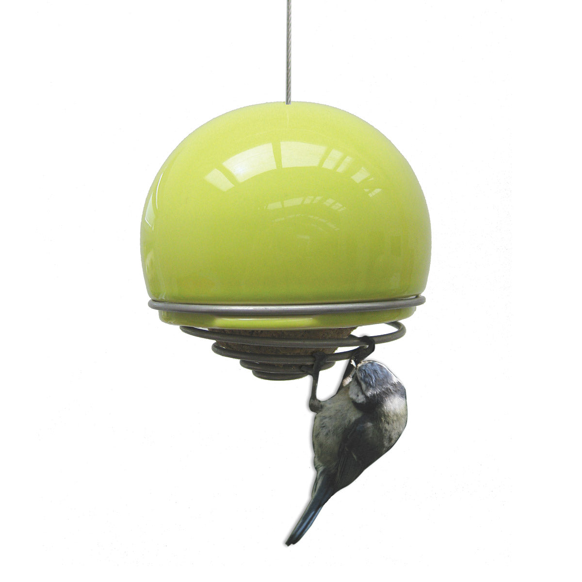 Birdball Fatball Bird Feeder - Lime