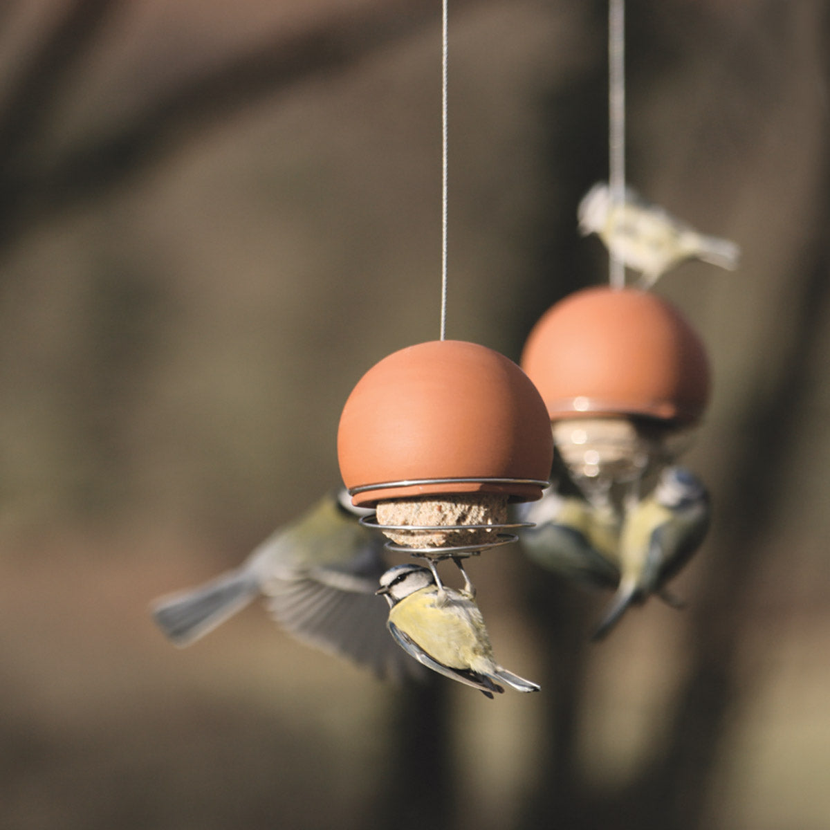 Birdball Fatball Bird Feeder - Terracotta